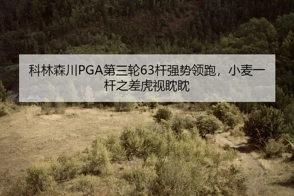 ke-lin-sen-chuan-di-san-lun-gan-qiang-shi-ling-pao-xiao-mai-yi-gan-zhi-cha-hu-shi-dan-dan-2-265.jpg